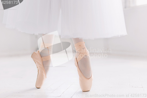 Image of Young ballerina, closeup on legs and shoes, standing in pointe position.