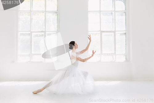 Image of Young and incredibly beautiful ballerina is posing and dancing in a white studio