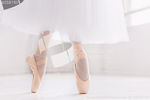 Image of Young ballerina, closeup on legs and shoes, standing in pointe position.