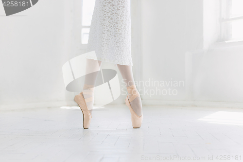 Image of Young ballerina dancing, closeup on legs and shoes, standing in pointe position.