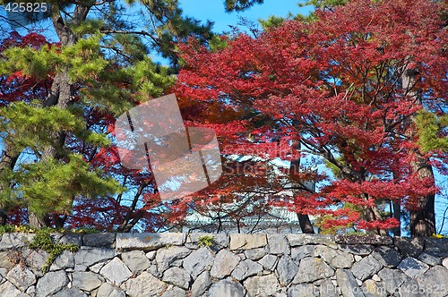 Image of Stone wall with trees