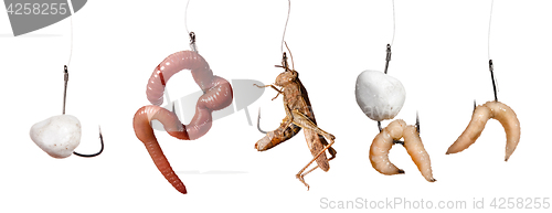 Image of set of baits on the hook isolated on white background