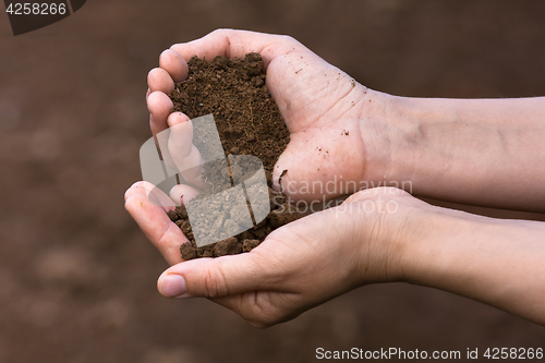 Image of soil in hands