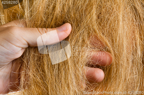 Image of hand of the hairdresser with the hair