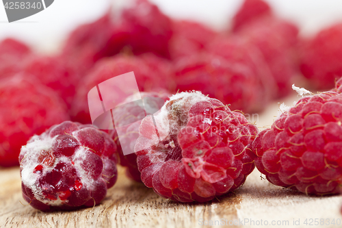 Image of mold on the raspberries