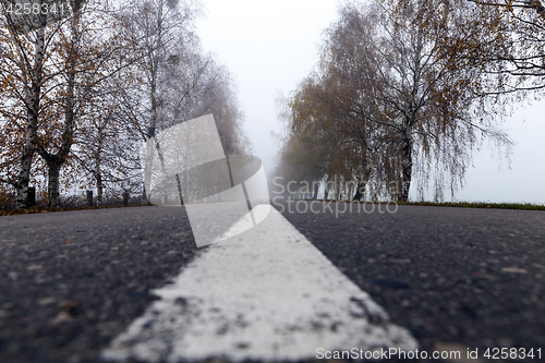 Image of asphalted road, autumn