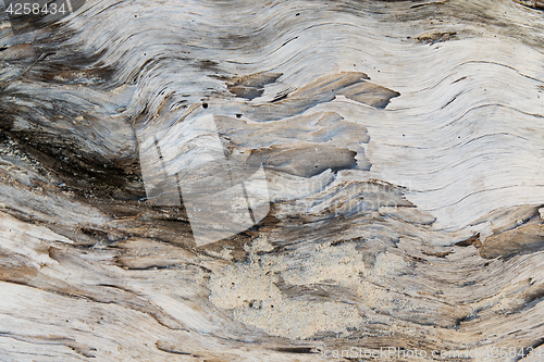 Image of old weathered wooden surface