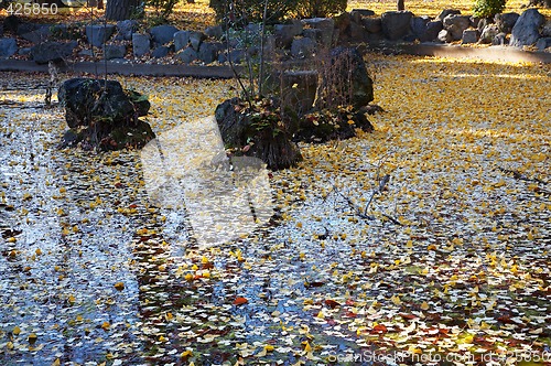 Image of oriental garden