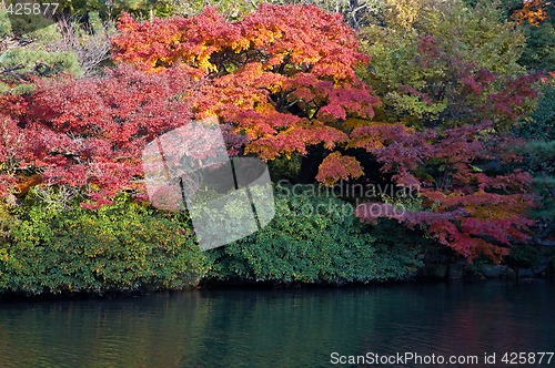 Image of oriental landscape