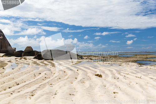 Image of rocks on seychelles island beach in indian ocean