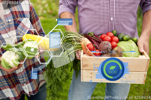 Image of senior couple with box of vegetables on farm