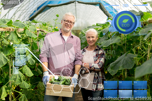 Image of senior couple with box of cucumbers on farm