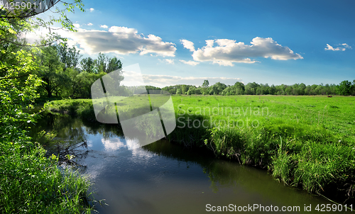 Image of River and field