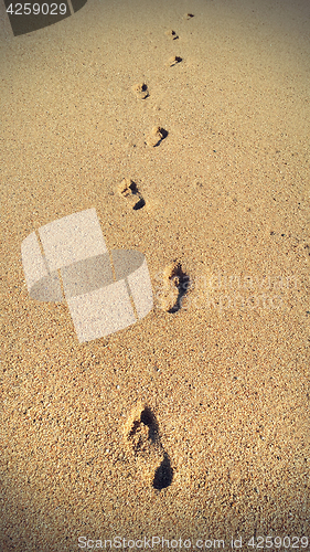 Image of Footprints in the sand