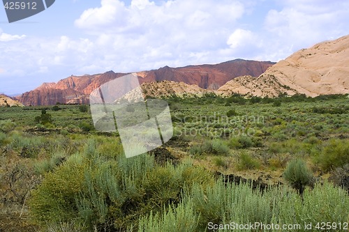 Image of Snow Canyon - Utah