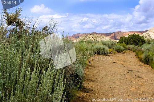 Image of Snow Canyon - Utah