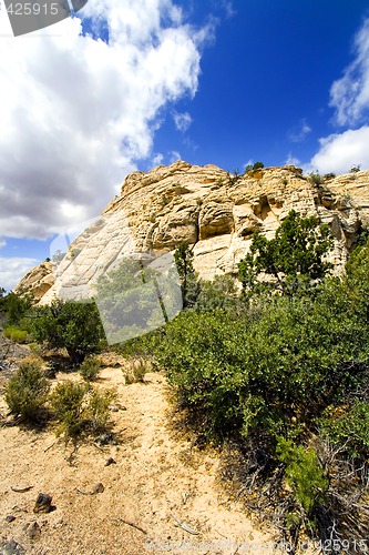 Image of Snow Canyon - Utah