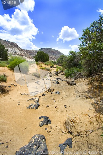 Image of Path to the Redrock Mountains in Snow Canyon - Utah