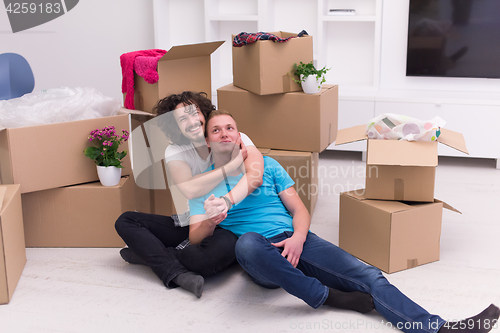 Image of young  gay couple moving  in new house