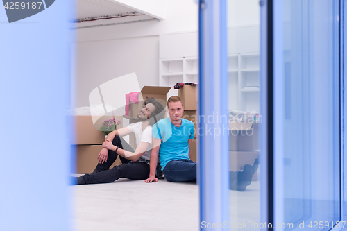 Image of young  gay couple moving  in new house