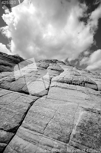 Image of Looking up the Sandstones in Snow Canyon - Utah