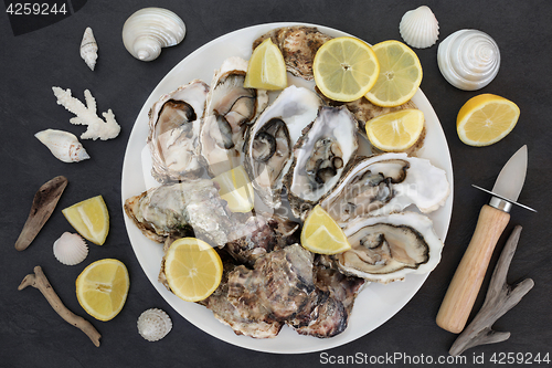Image of Plate of Oysters