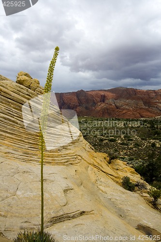 Image of Looking down the Sandstones in to Snow Canyon - Utah