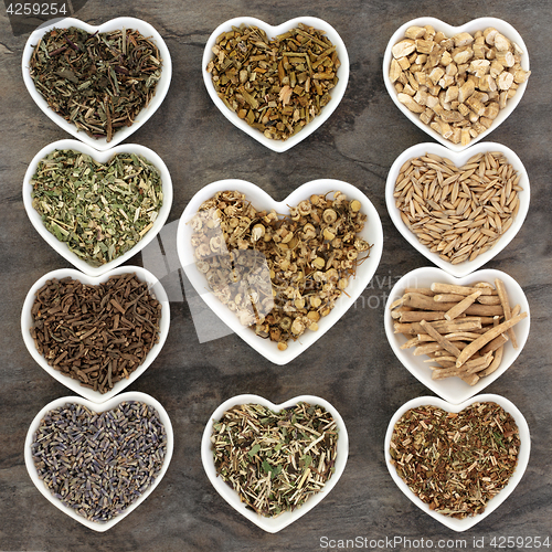Image of Herbs for Anxiety and Sleeping Disorders
