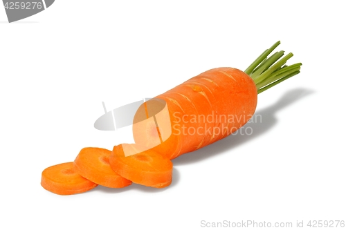 Image of One Carrot on White Background