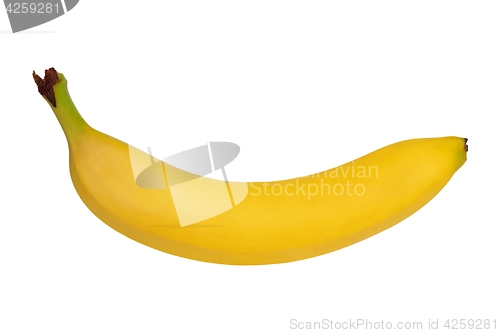 Image of Banana on white