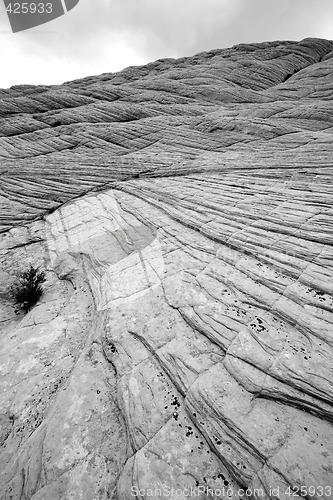 Image of Looking up the Sandstones in Snow Canyon - Utah