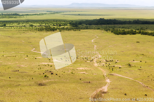 Image of maasai mara national reserve savanna at africa