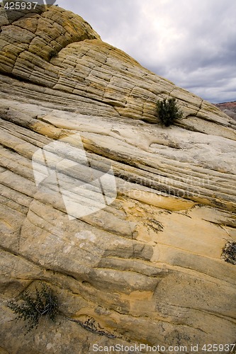 Image of Snow Canyon - Utah