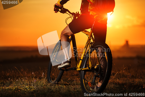 Image of Sporty Man Riding a Bicycle on the Country Road.