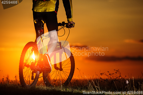 Image of Sporty Man Riding a Bicycle on the Country Road.