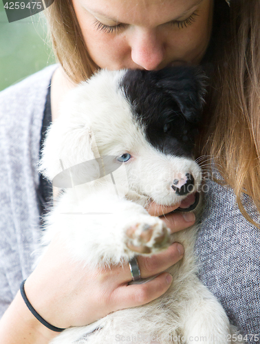 Image of Small Border Collie puppy with blue eye in the arms of a woman