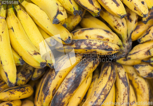 Image of Bananas