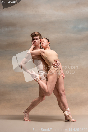 Image of Couple of ballet dancers posing over gray background