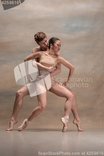 Image of Couple of ballet dancers posing over gray background