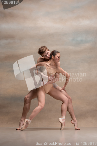 Image of Couple of ballet dancers posing over gray background