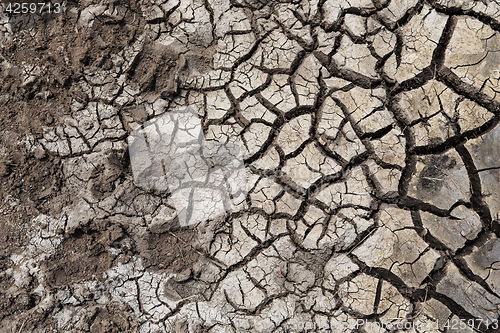 Image of dry cracked ground surface