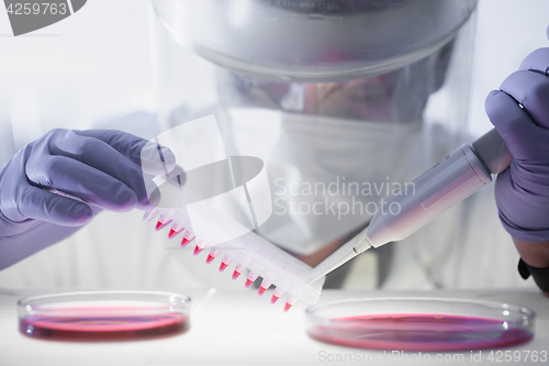 Image of Working in the laboratory with a high degree of protection