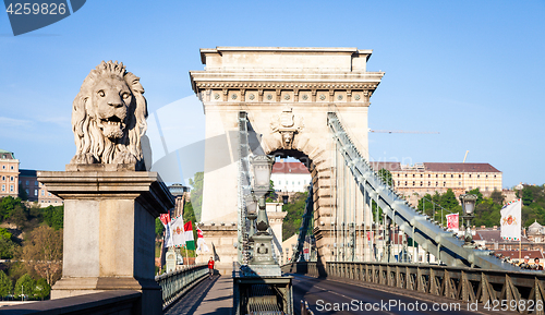 Image of BUDAPEST, HUNGARY - 2017 MAY 19th: lion statue at the beginning 