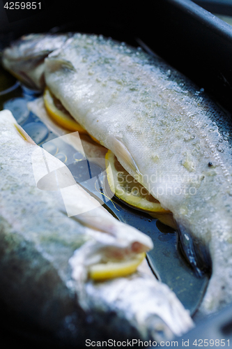 Image of Fish on frying pan