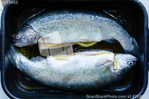 Image of Fish on frying pan