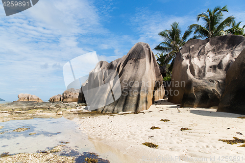 Image of island beach in indian ocean on seychelles