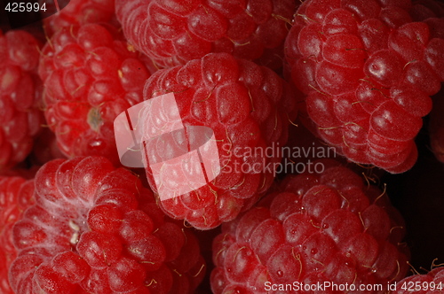 Image of rasberrys