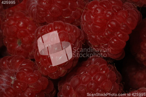 Image of rasberry