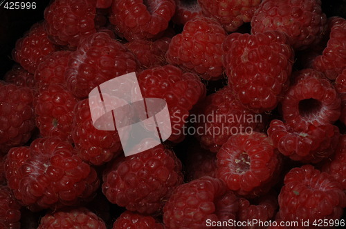 Image of rasberry