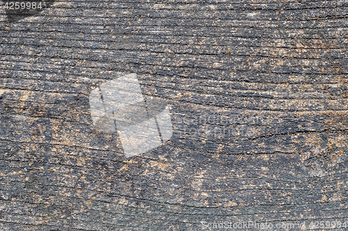 Image of Old aged wood planks, texture with natural pattern